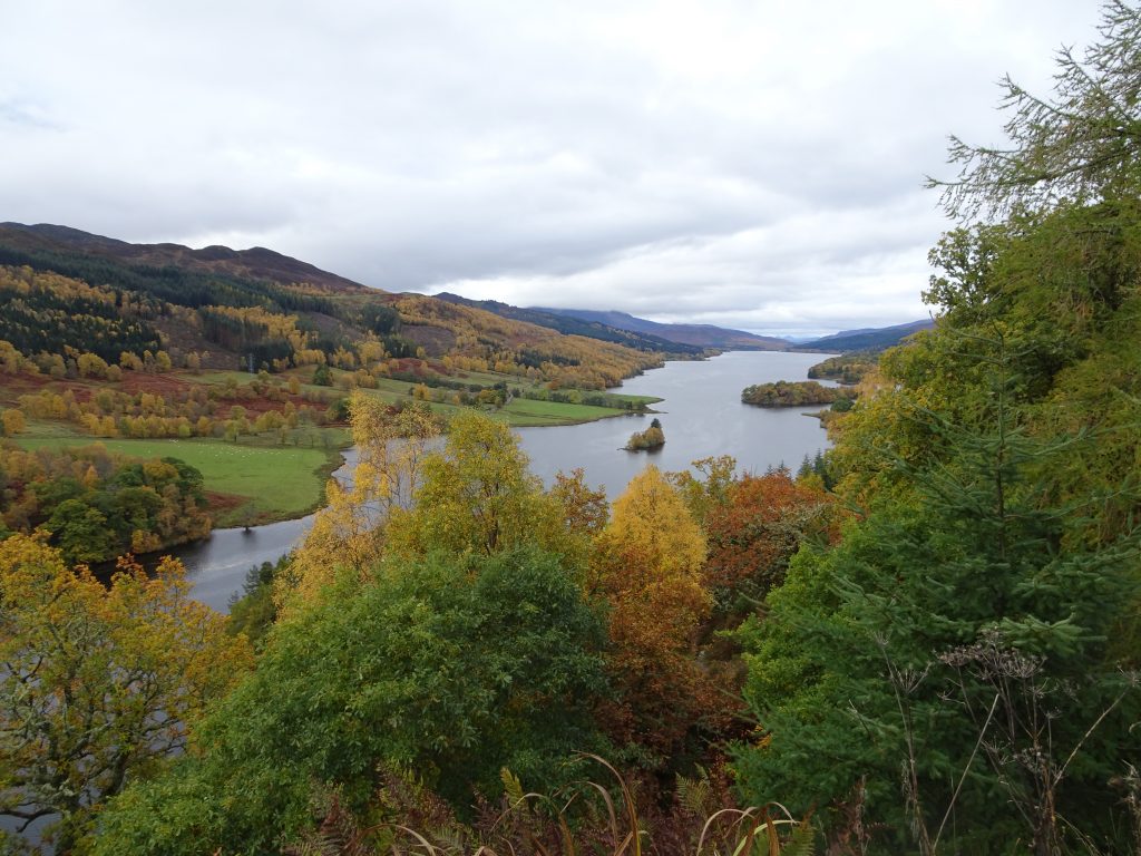 Queens View