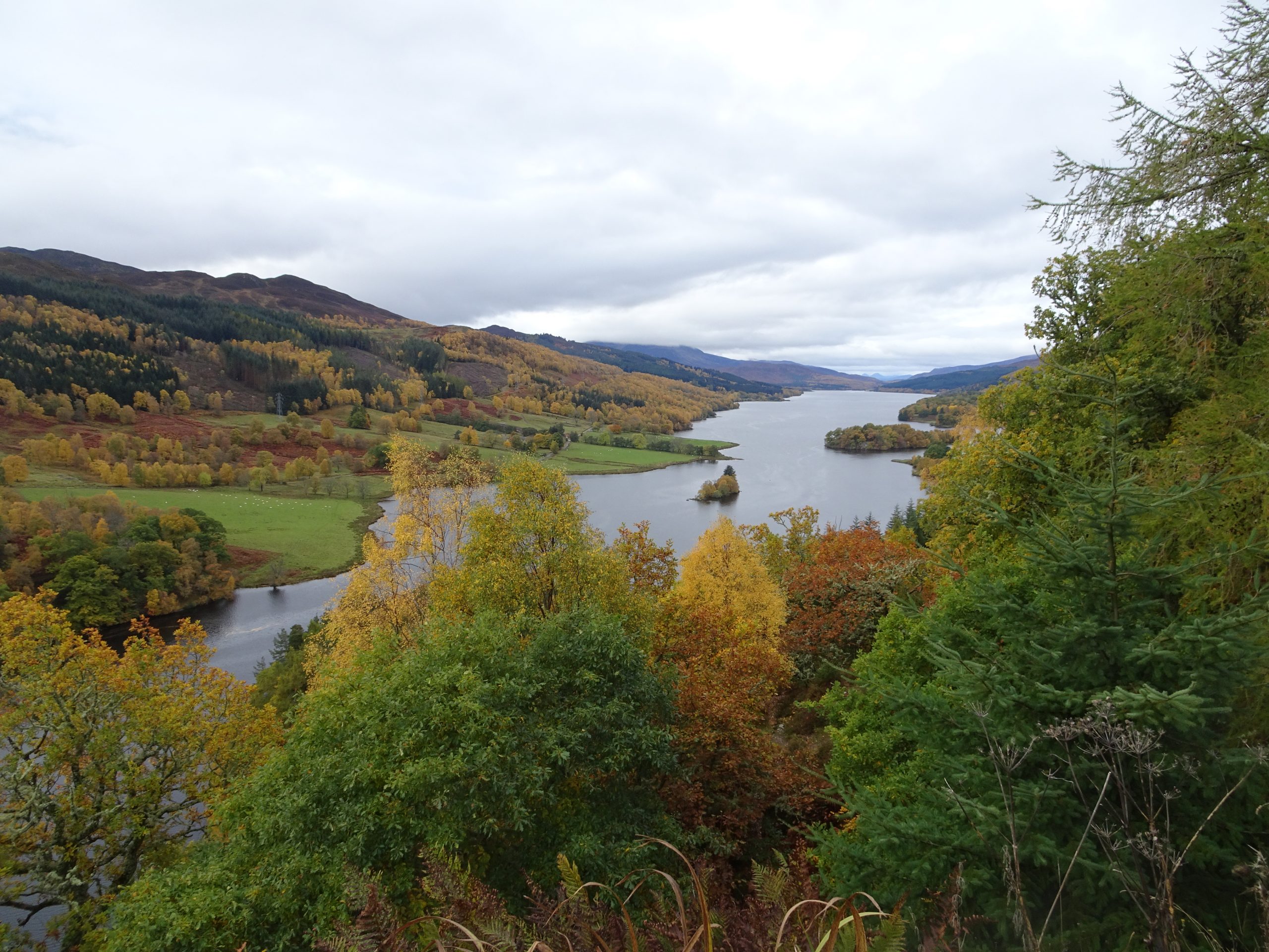 Queens View