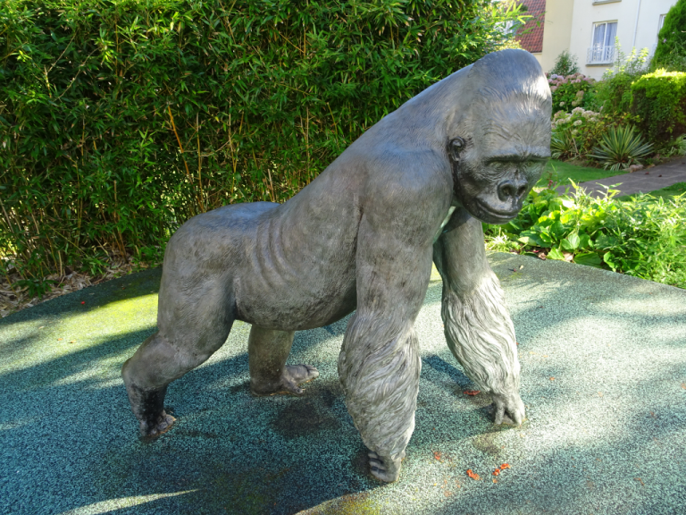 Jersey 2021 with U3A – first day
